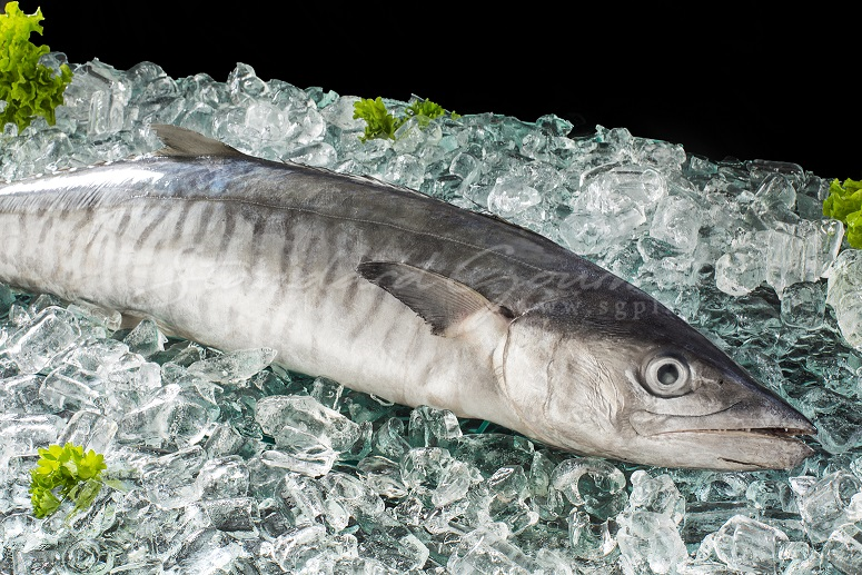 SGPL Frozen Food Supplier Johor Bahru (JB) Singapore Halal Food